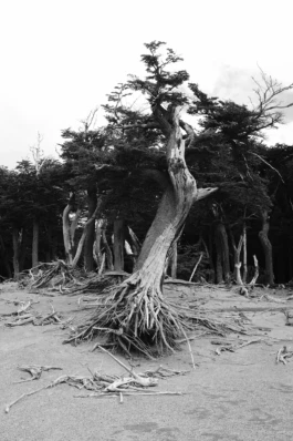 kevin kaltenhofer ✽ foto